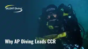 APD Type 14 O2 Sensor For Diving – Inspiration Rebreather Coaxial Connection | Made In Germany