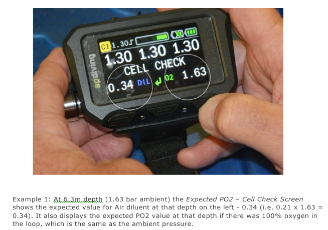 AP Vision handset cell check screen example with expected values